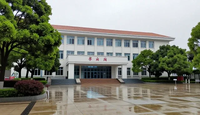 技术转让中性能差异与适用场景的平衡策略